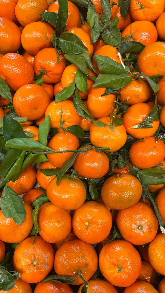Frische Mandarinen mit grünen Blättern.