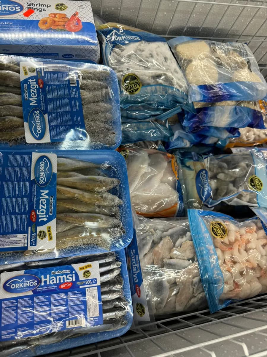 Tiefkühltruhe mit Fisch und Meeresfrüchten: Hamsi, Mezgit, Sardellenfilet und Garnelen.